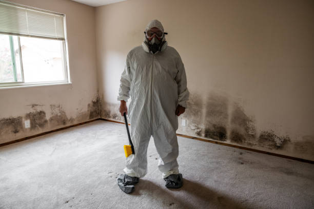 Professional Mold Removal in Exton, PA
